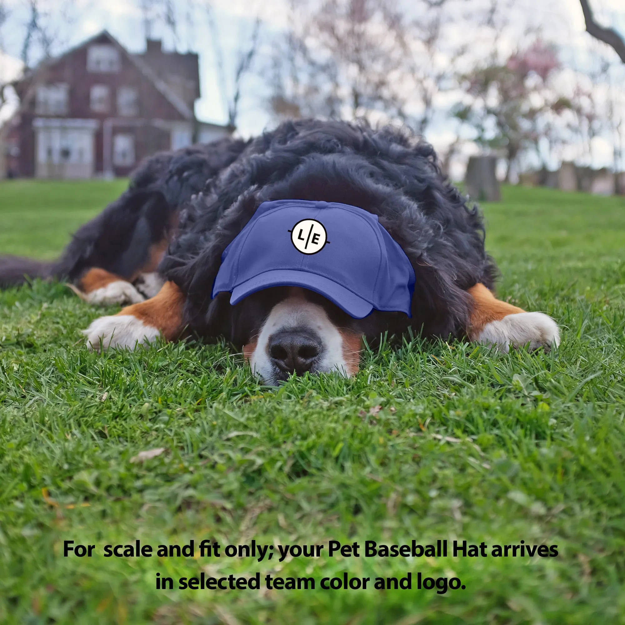 Los Angeles Chargers Pet Baseball Hat