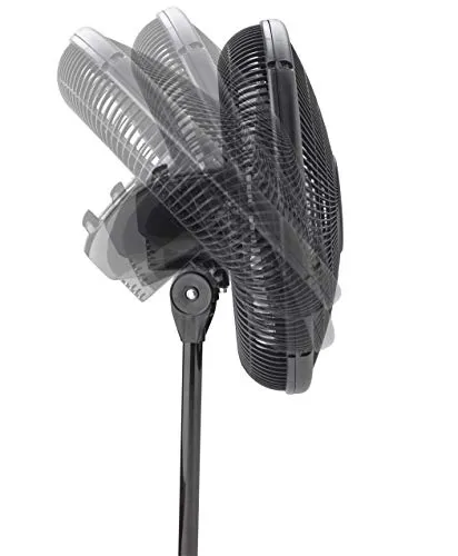 Oscillating Stand Fan