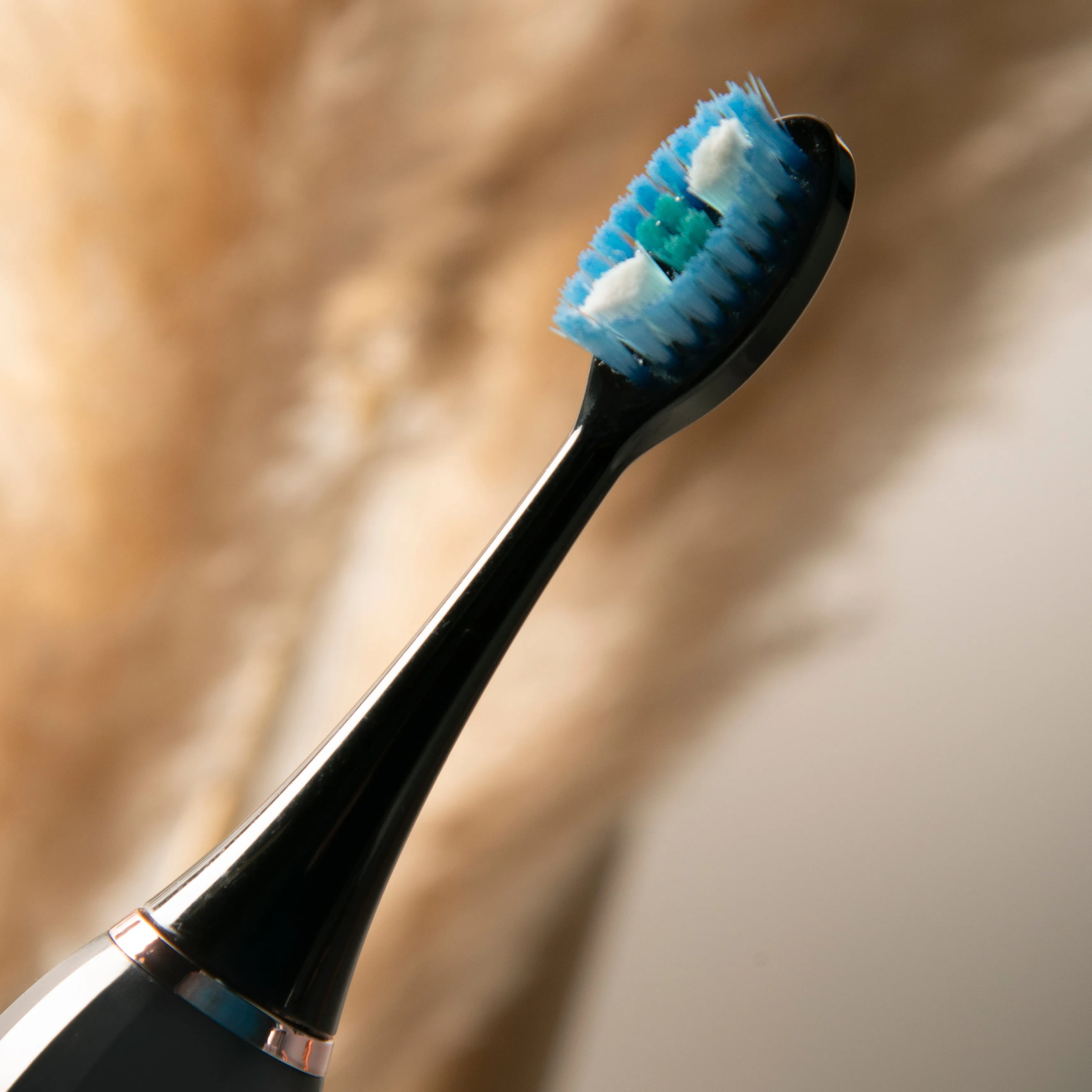 Y-Brush Têtes de brosse de remplacement pour DuoBrush